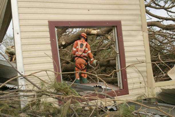 Tree and Shrub Care in Lake Barcroft, VA